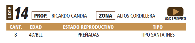 Lote LOTE 14 -POR PANTALLA