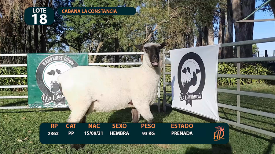 Lote LOTE 18  - CABAÑA ARGENTINA