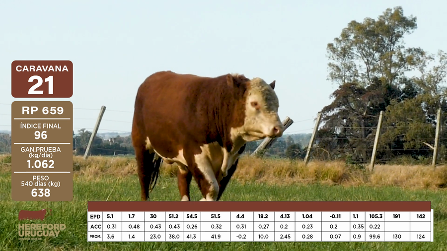 Lote Caravana 21 "Agustín Alvarez"