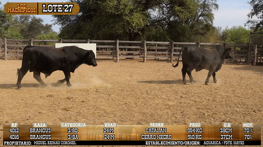 Lote LOTE 27 - PANTALLA