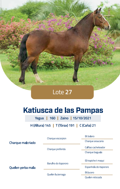 Lote LOTE 27
