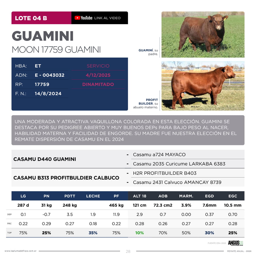 Lote RP 17753 Y 17759 - VAQUILLONAS PP ELITE VENTA DE UNA ELECCION