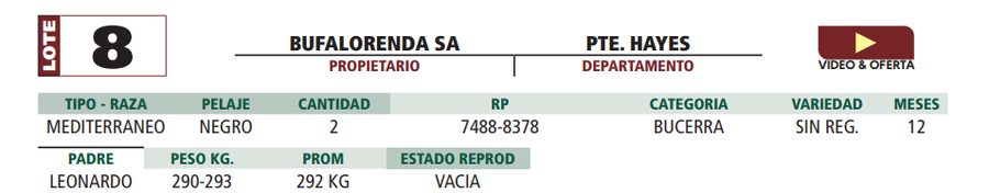 Lote LOTE 8