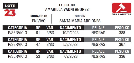 Lote LOTE 23- EN VIVO