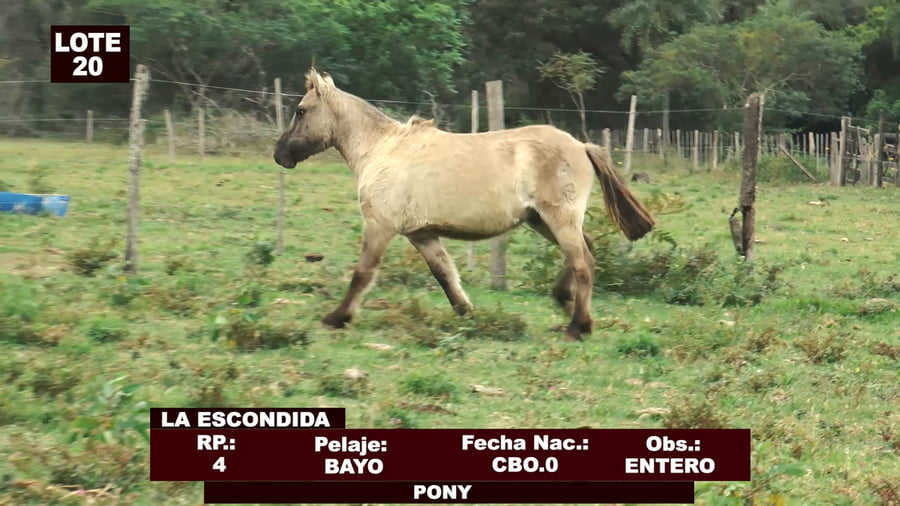 Lote Cabañas de Tradición - Lote 20