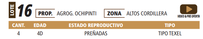 Lote LOTE 16 -POR PANTALLA