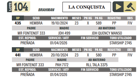 Lote LOTE 104
