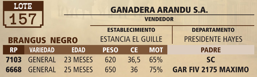 Lote LOTE 157 - VIVO