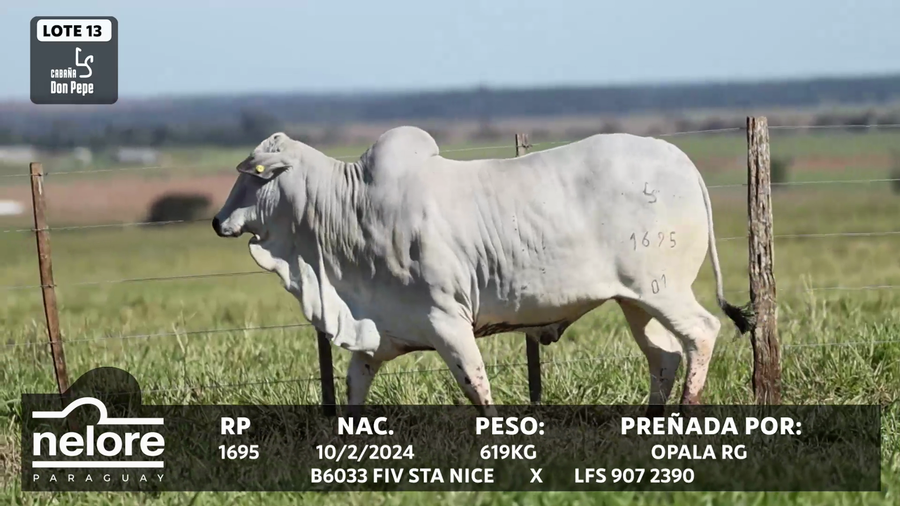 Lote LOTE 13