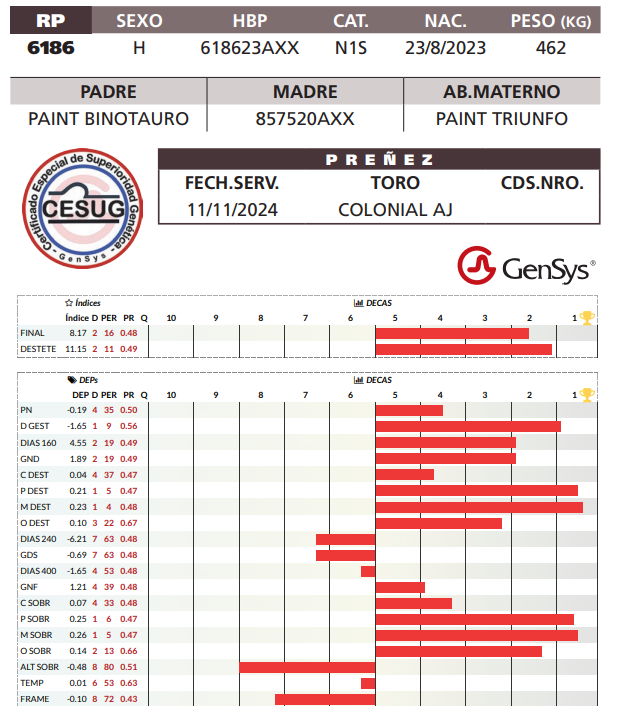Lote LOTE 5