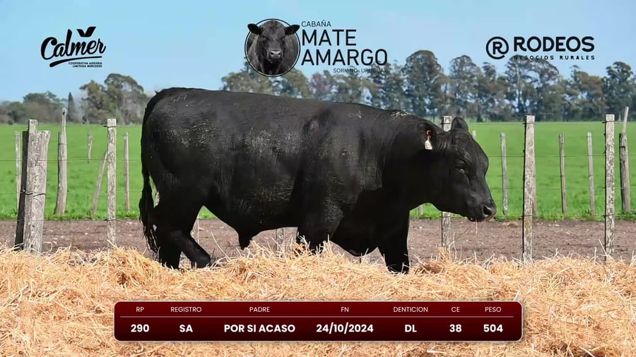 Lote RP 290 SA