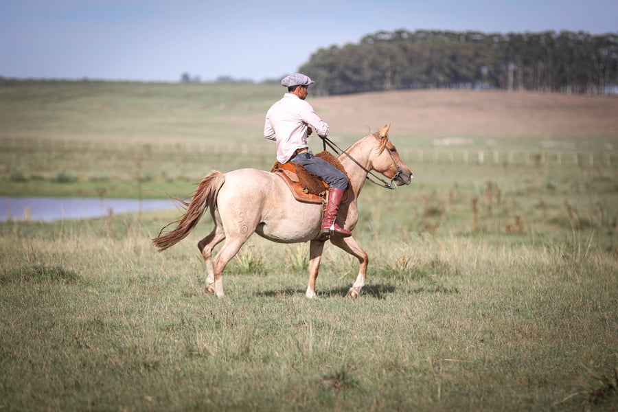 Lote Carlota La Magdalena