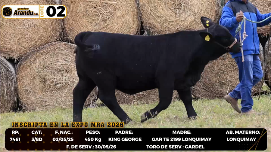 Lote LOTE 2