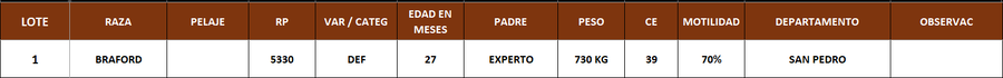 Lote LOTE 1