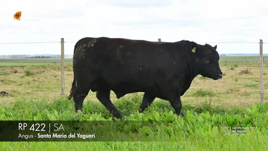 Lote RP 422