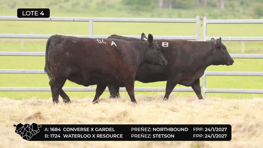 Lote Lote 04-B