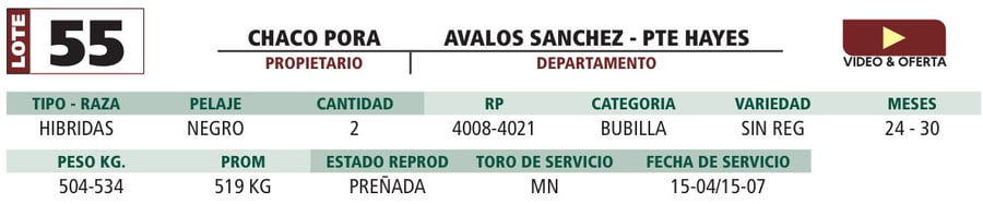 Lote LOTE 55