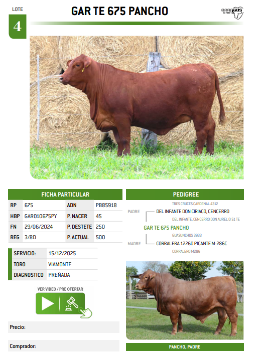 Lote LOTE 4