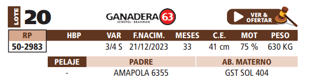 Lote LOTE 20