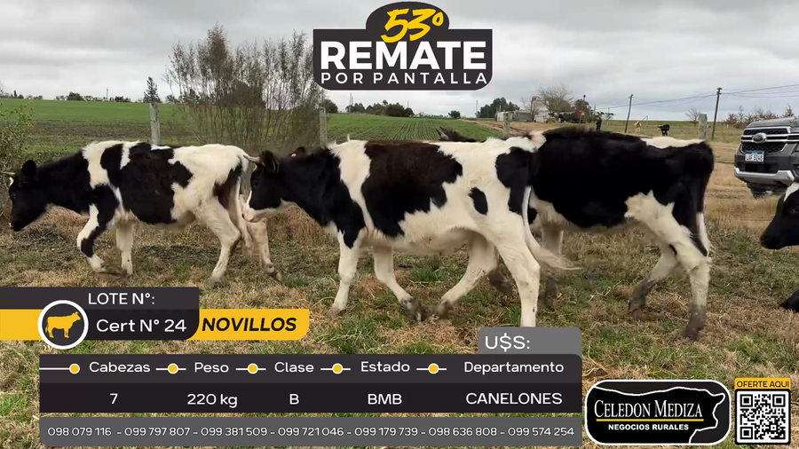 Lote 7 Terneros en Canelones, Canelones