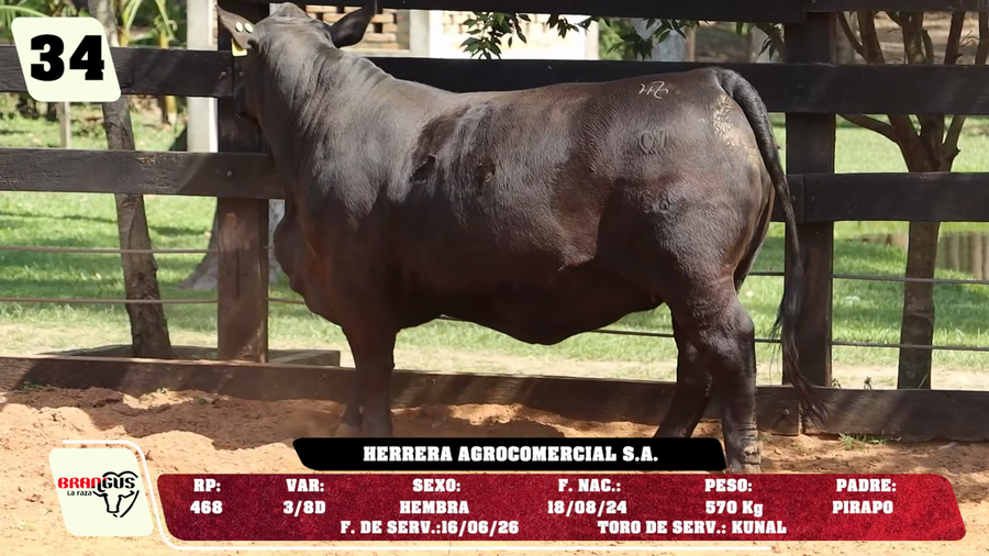Lote LOTE 34 - DE CAMPO
