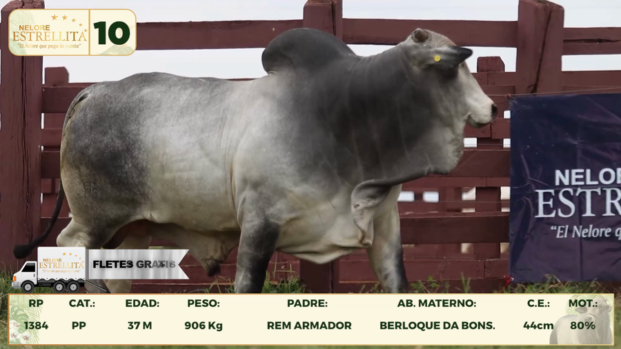 Lote LOTE 10