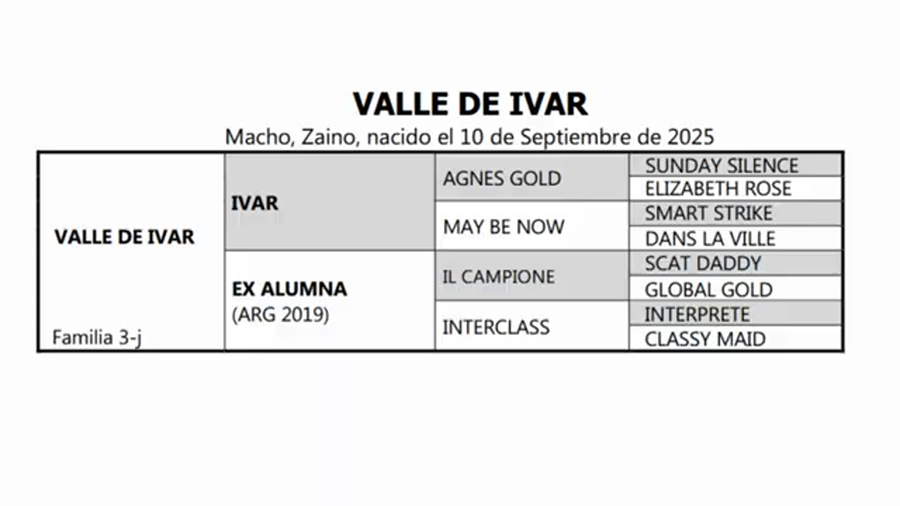 Lote VALLE DE IVAR
