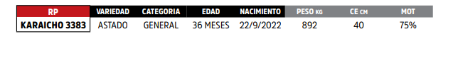 Lote LOTE 67