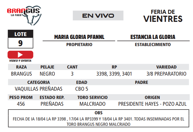 Lote LOTE 9 - EN VIVO