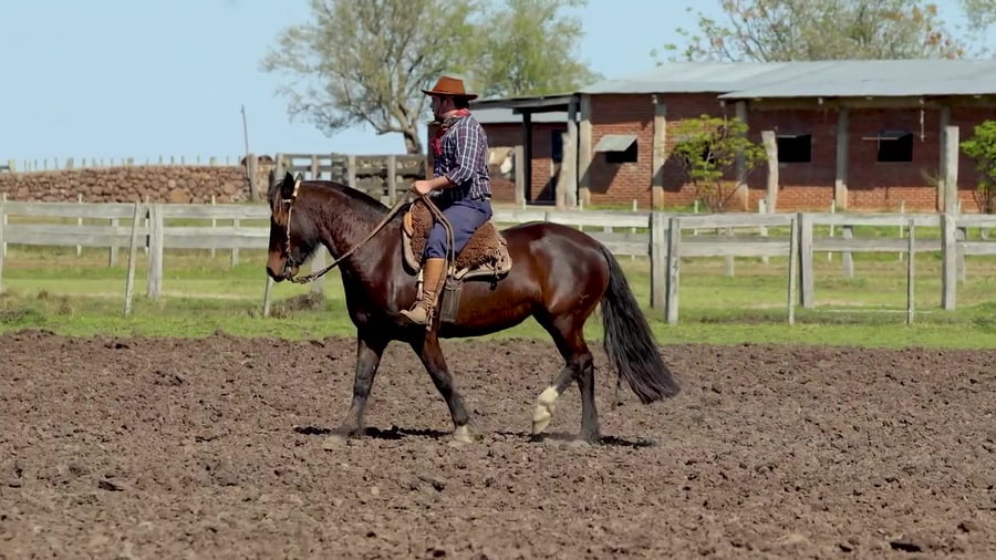 Lote Santa Ines Catrina