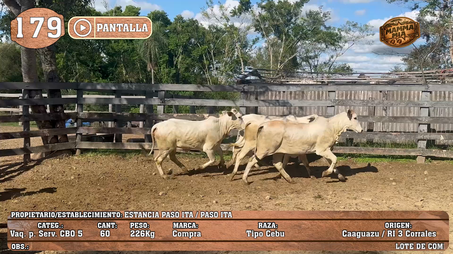 Lote LOTE 179 - PANTALLA