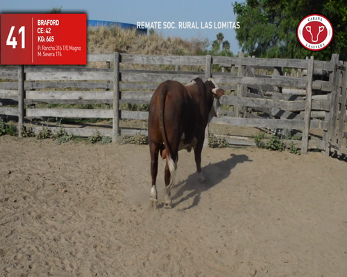 Lote CABAÑA "LA SEVERA" 41