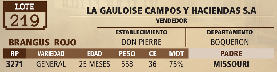 Lote LOTE 219 - VIVO