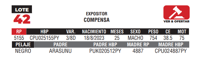 Lote LOTE 42 - CAMPO