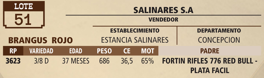 Lote LOTE 51 - PANTALLA