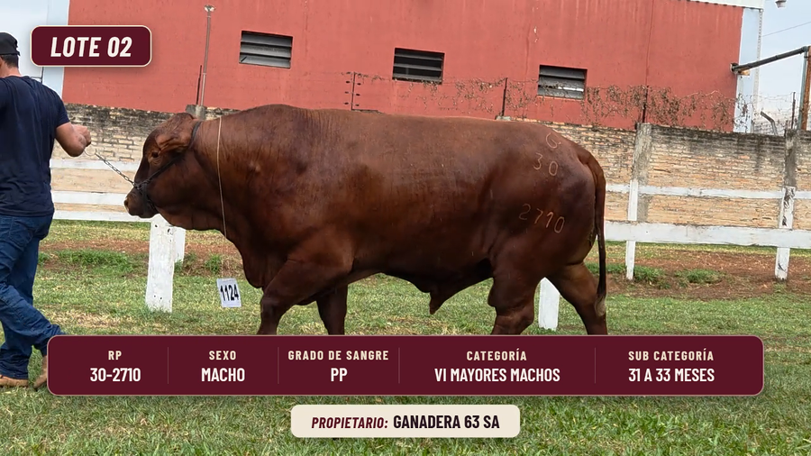 Lote LOTE 2