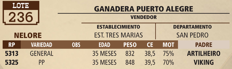 Lote LOTE 236 - VIVO