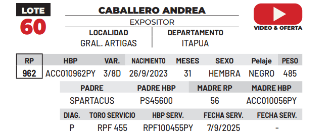 Lote LOTE 60 -DE CAMPO