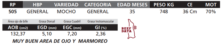 Lote LOTE 37