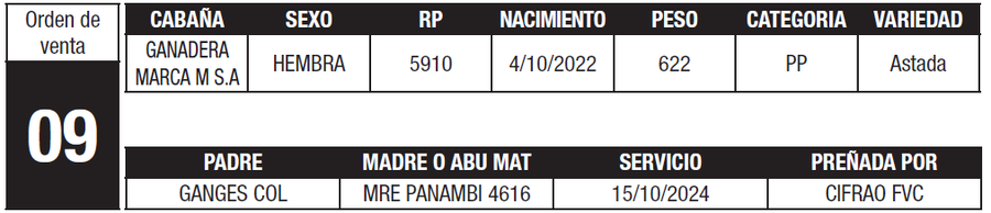 Lote LOTE 9