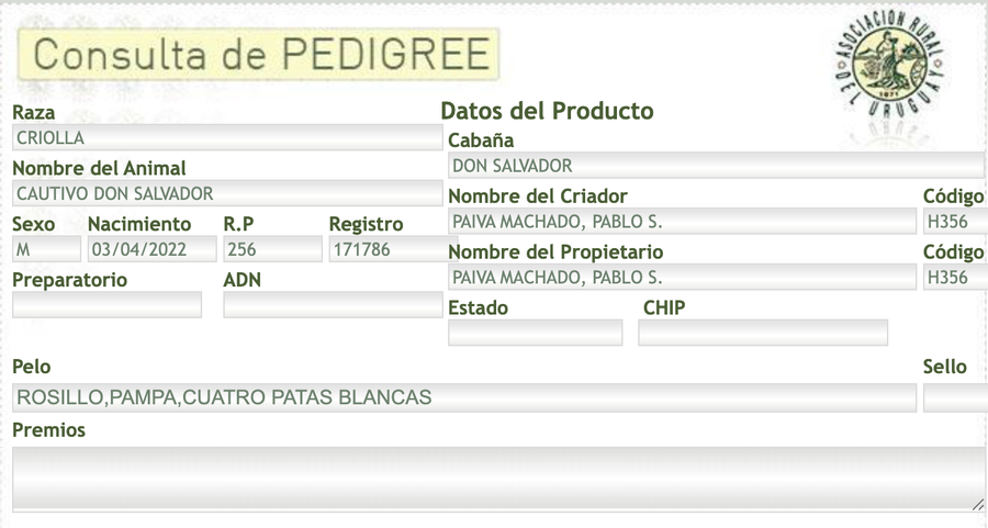 Lote Cautivo Don Salvador