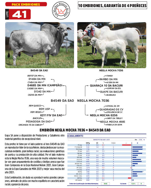 Lote LOTE 41