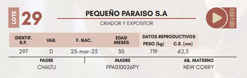 Lote LOTE 29 MACHOS DE CAMPO