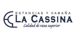 Lote VAQUILLONAS  PP