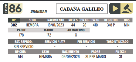 Lote LOTE 86