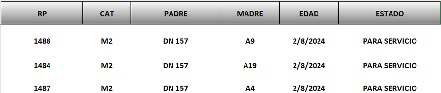 Lote LOTE 36