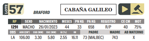 Lote LOTE 57
