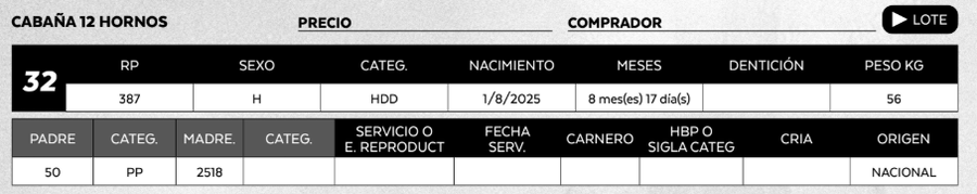 Lote LOTE 32