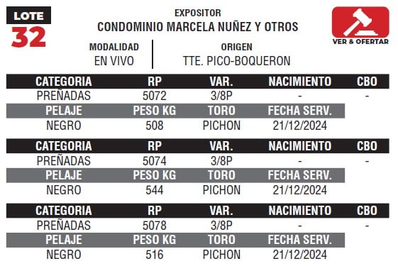 Lote LOTE 32- EN VIVO