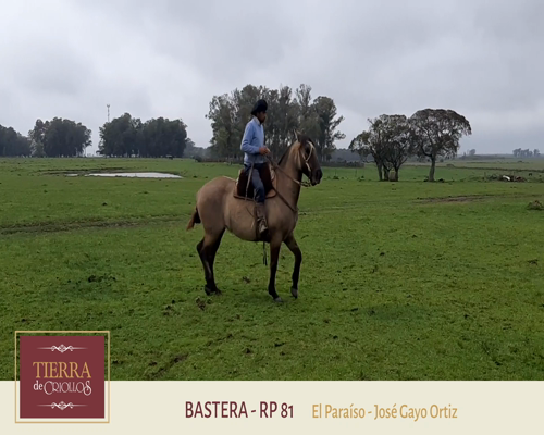 Lote Bastera (RP 81) - Cabaña El Paraíso